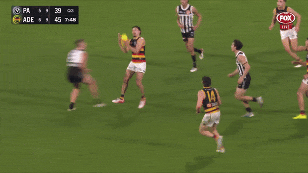Dan Houston’s bump on Izak Rankine will be assessed at the tribunal.