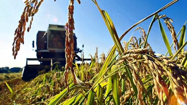 Farmers are Austalia's biggest users of glyphosate.