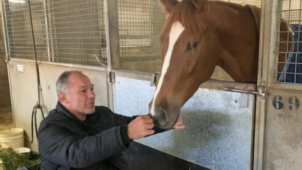 Former Wallaby Richard Tombs with a stable horse.