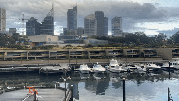The view from Nicola West’s apartment on Finger Wharf, Woolloomooloo, in October 2022.