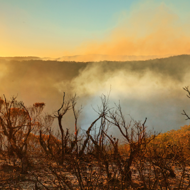 Bushfires a wake-up call for insurers as unsettled claims continue to