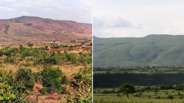 Tree regeneration near Humbo in Ethiopia.
