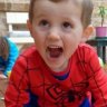 Looking for William Tyrrell: What next in the hunt for the boy in the Spider-Man suit?