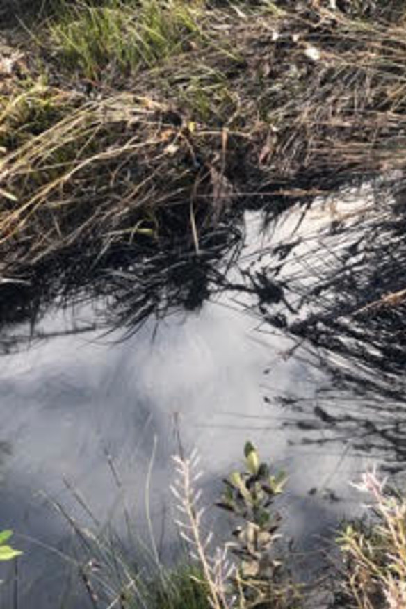 The EPA and Melbourne Water will continue its investigation and clean up efforts on Wednesday. 