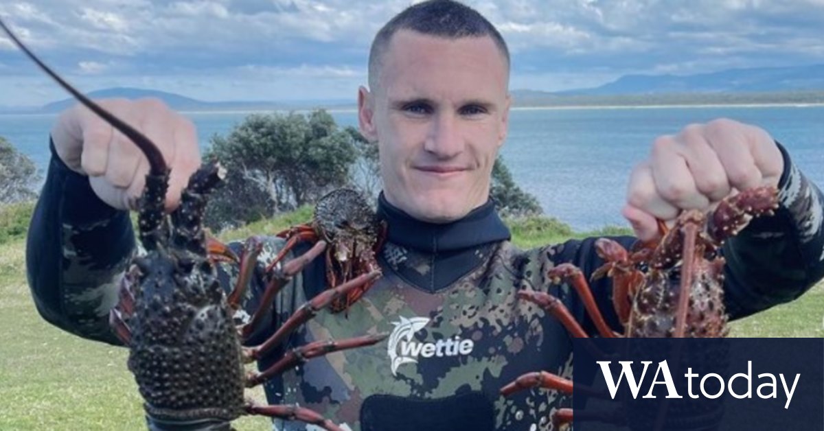 How bone marrow from a deceased donor, a 3000 tinny and fishing saved Shark’s career