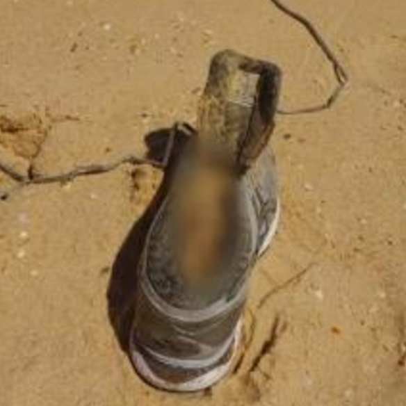 One of Caddick’s feet was found inside a shoe on Bournda Beach on the NSW South Coast in February. 