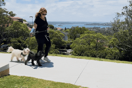 It’s a dog’s life in Bellevue Hill.