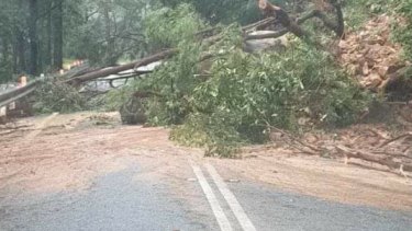 A landslide has occurred on the Springbrook-Gold Coast Road. 