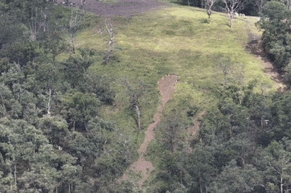 An aerial view of the Wheeny Creek site in northern Sydney, now partially grassed over.