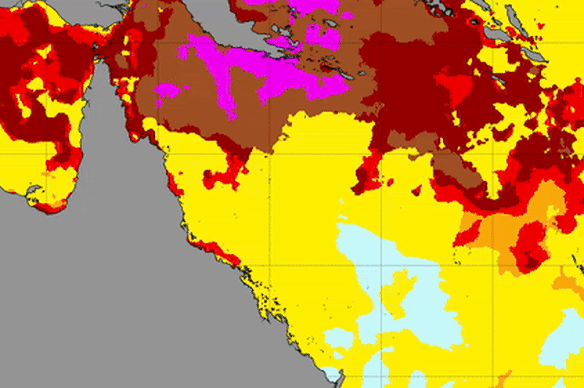 Coral bleaching threat level from March to April 2025, with brown the most severe and purple the least. 