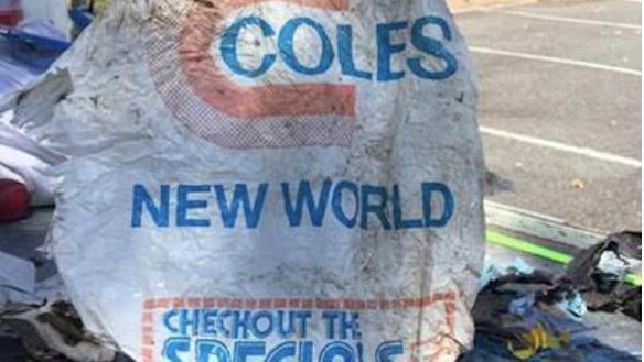 Plastic bags more than 40 years found in waterways near Moreton Bay. Turtles eat plastic bags thinking they are jellyfish, then slowly starve. 