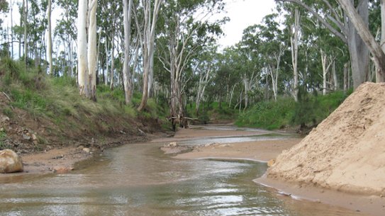 The Suttor River in central Queensland, from which Adani intends to pump water to feed its Carmichael coal mine. 