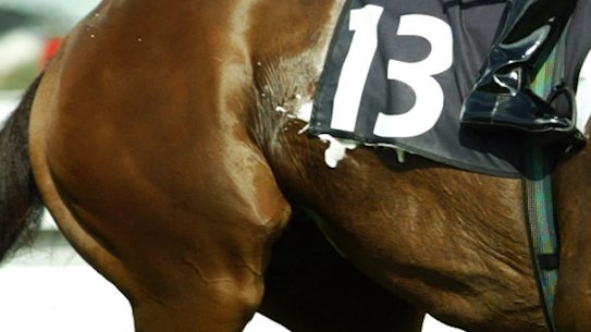 The RBA has raised rates for a 13th time.