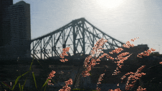 According to the Brisbane Life Study, air quality in the city is among the best of any capital city.