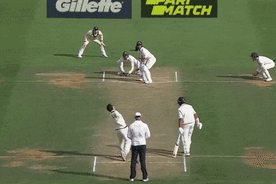 Steve Smith snares a sharp chance in the slips.