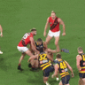 Crows players react with frustration after a holding the ball decision was not paid.