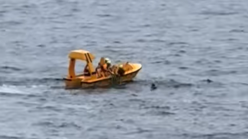 Father and girl, 5, pulled from water after going overboard on Disney cruise ship