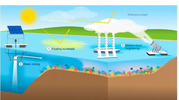 Funding has been awarded for feasibility studies of three geoengineering technologies to protect the reef: (1) a ‘floating sunshield’ of
reflective surface film made of calcium carbonate to reflect sunlight and lower water temperatures; (2) marine cloud brightening; and (3) water
mixing.