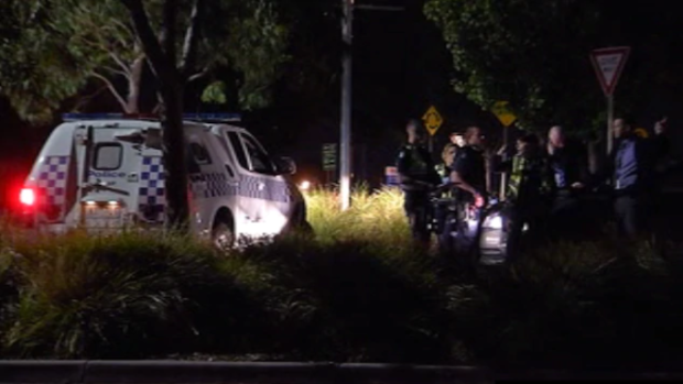 About 30 youths were involved in the brawl at a Narre Warren reserve on Tuesday night.