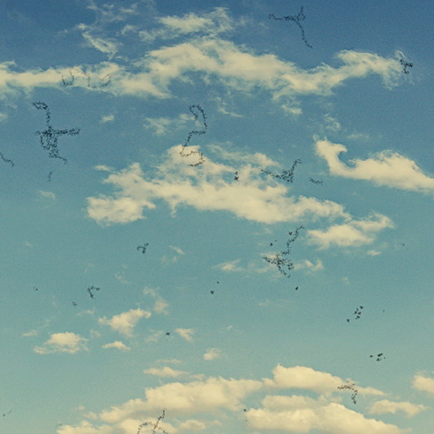 Something in the air: An artists’ impression of so-called “floaters”.