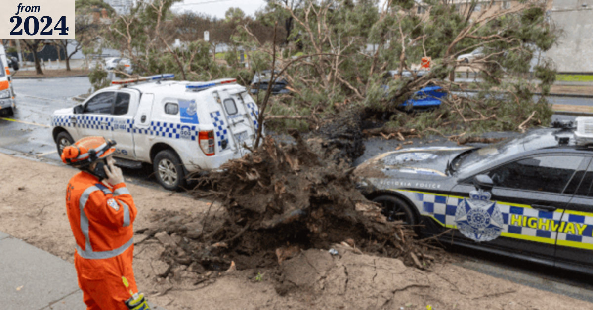 Melbourne weather: Man dies in Gellibrand after tree falls on car in ...