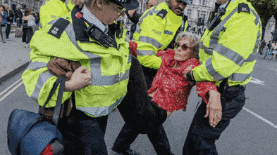 Almost 900 arrested at London Palestine Action protest, police say
