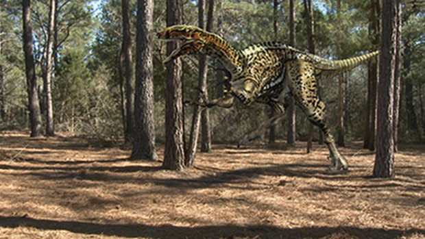 An artist's impression of the megaraptorid Australovenator wintonensis, found near Winton in Western Queensland