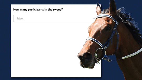 Take your chances in our Melbourne Cup sweep generator.