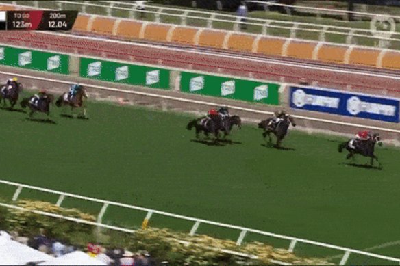 Verry Elleegant wins the 2021 Melbourne Cup