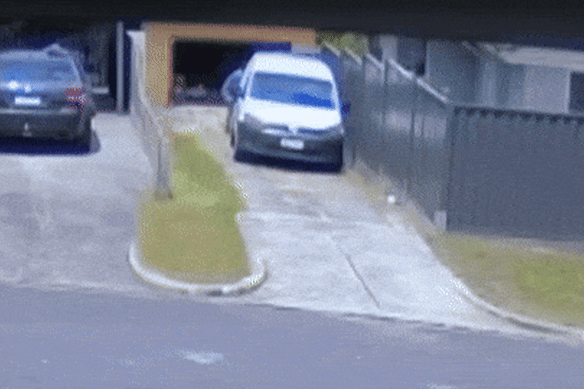 The dogs were struck multiple times.