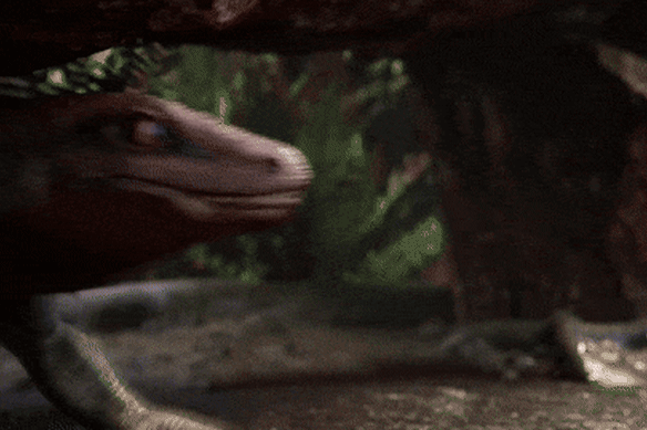 An animated re-creation of the reptile trackways from 350 million years ago
