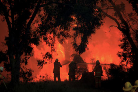 2019 was the second-hottest year on record, trailing only 2016.