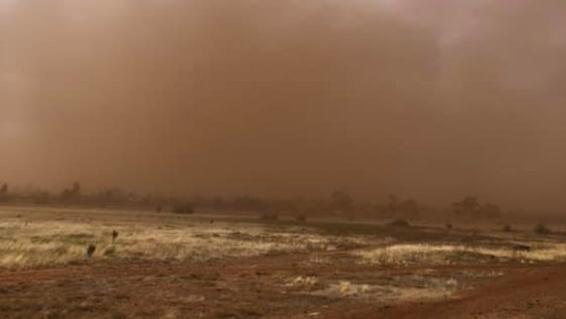 The dust from dry ground in western Victoria has been raised by gusty winds. 