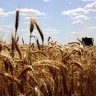 The ASX-listed agribusiness Nufarm has fell to a $122 million first half loss, but says demand among Australian farmers for its products is now rising.