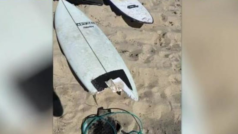 WA news LIVE: Authorities take Geraldton shark attack survivor’s board, wetsuit for DNA testing