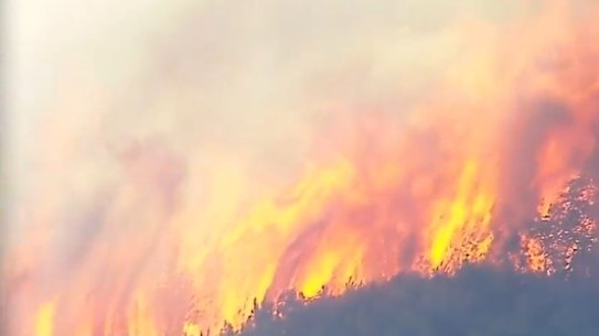 A fire is burning in dry bushland on Moreton Island. 