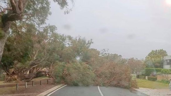 WA storm LIVE: 50,000 brace for night without power, hundreds call for help