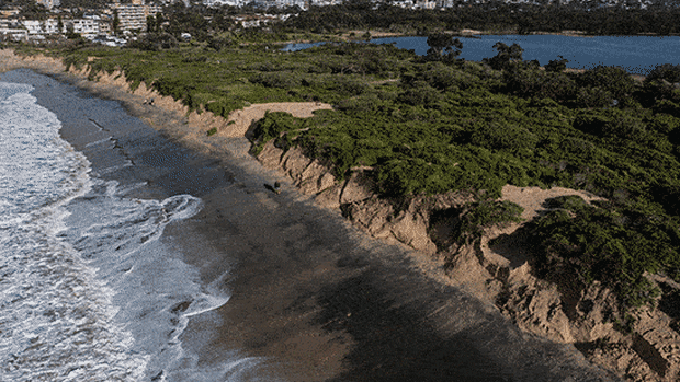 ‘Unusual’ winter swells erode Sydney beaches and sand dunes