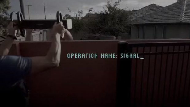 Operation Signal made 10 arrests.