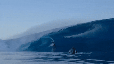 ‘I don’t want to die’: How Molly Picklum survived the worst wipeout of her life