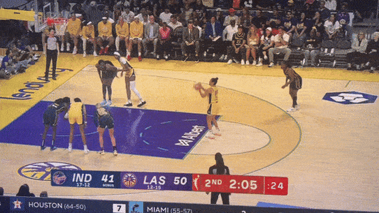 Sex toy thrown on to the court disrupts WNBA match between LA Sparks and Indiana Fever.