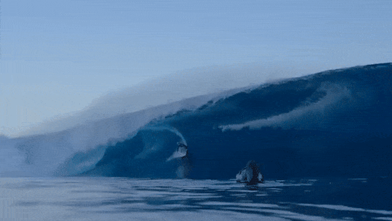 ‘I don’t want to die’: How Molly Picklum survived the worst wipeout of her life