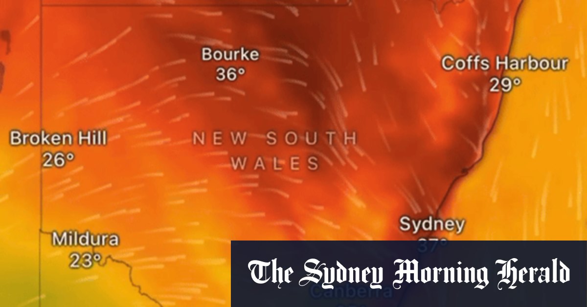 Record heat, thunderstorms and extreme fire danger coming for Sydney