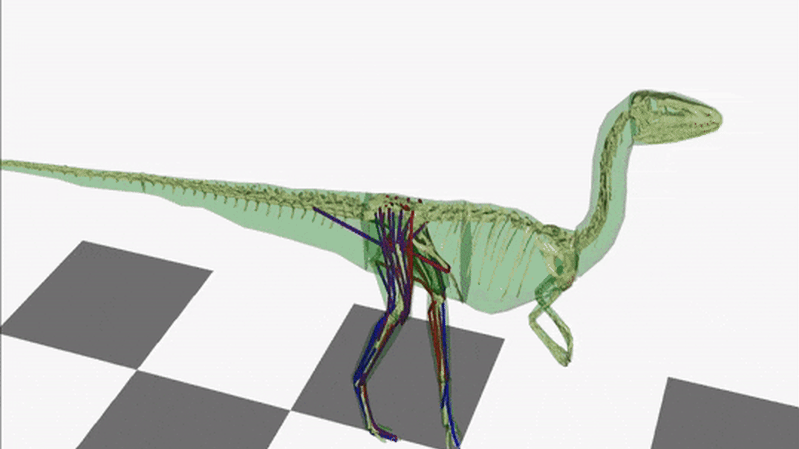 Some Dinosaurs May Have Wagged Their Tail to Help Them Run