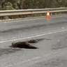 Shoalhaven disasters