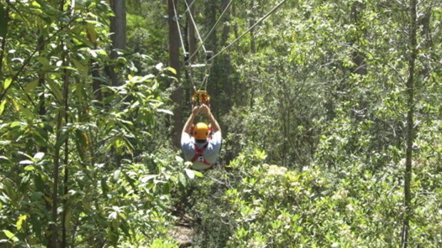 A zip-line through treetops. The zip-line depicted in this photograph is not the scene of the fatal collision in Honduras.