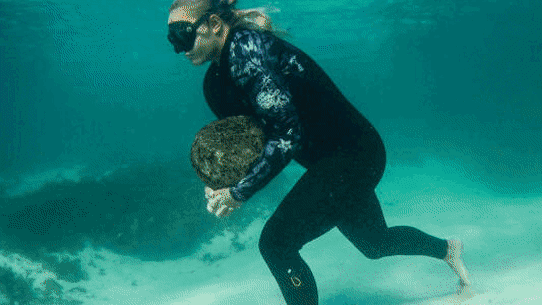 Felicity Palmateer’s big wave training