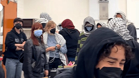 Pro-Palestine protesters occupy Professor Steven Prawer’s office at the University of Melbourne on Wednesday.