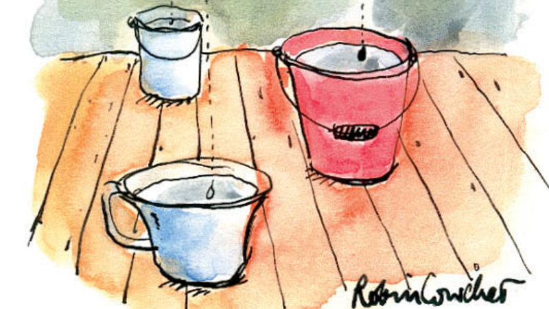 My dream share house turned into a bucket-filled nightmare. It wasn’t a leak