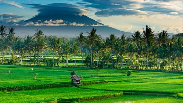 The air in Bali felt markedly cleaner, and easier to breathe, than that in Jakarta.